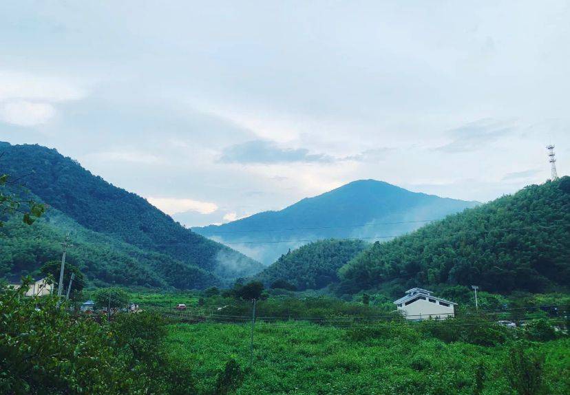 广州周边小众打卡地，大隐于野的古村落，有你最向往的生活