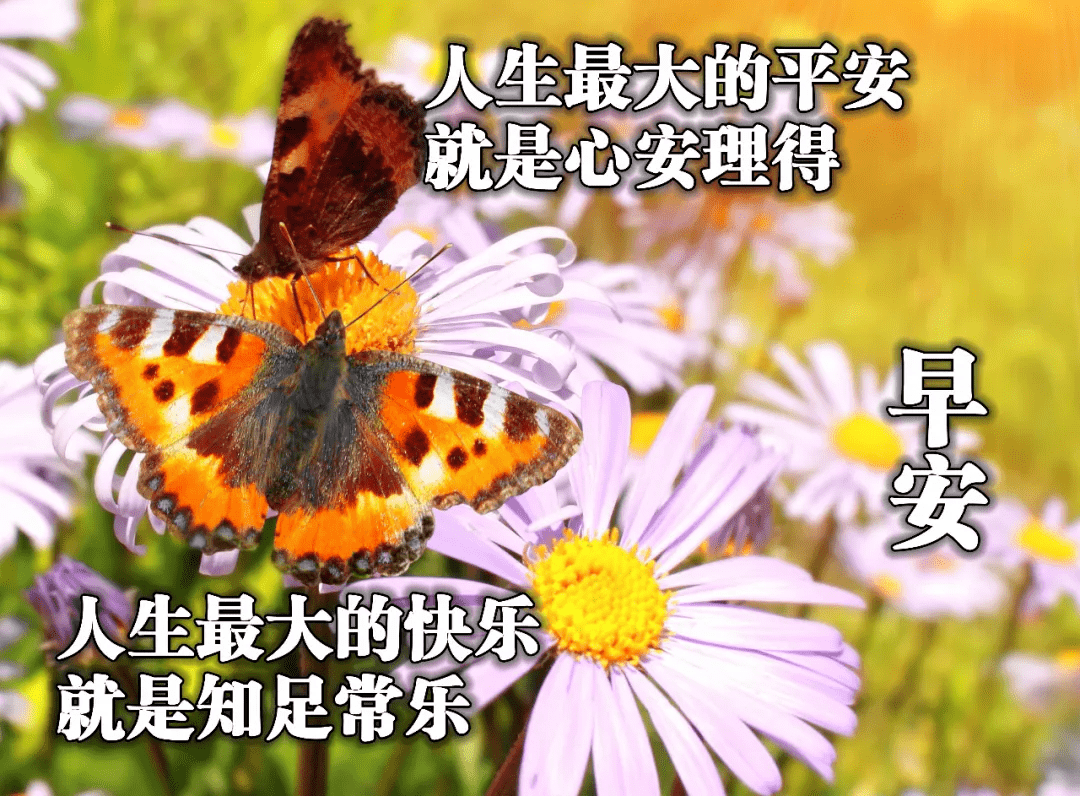 早上好图片表情祝福语 最新早安祝福问候唯美图片加句子