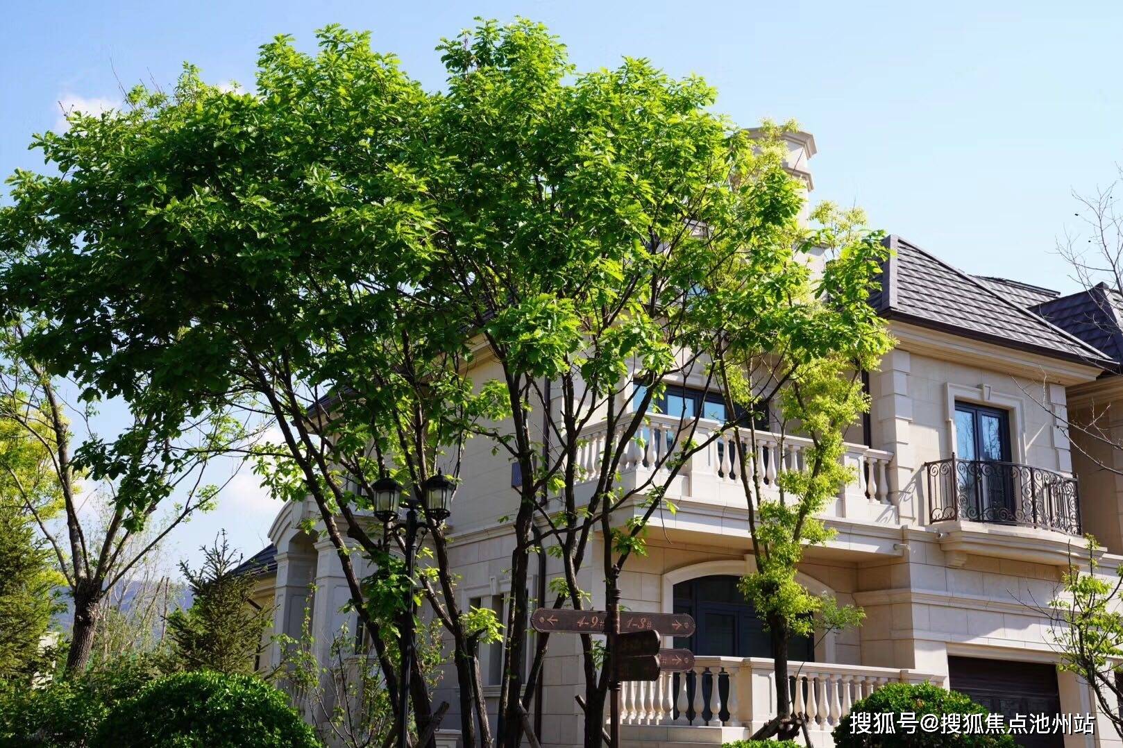 安吉【竹海御景城】售楼处电话—地址—售楼中心官网—24小时电话图文