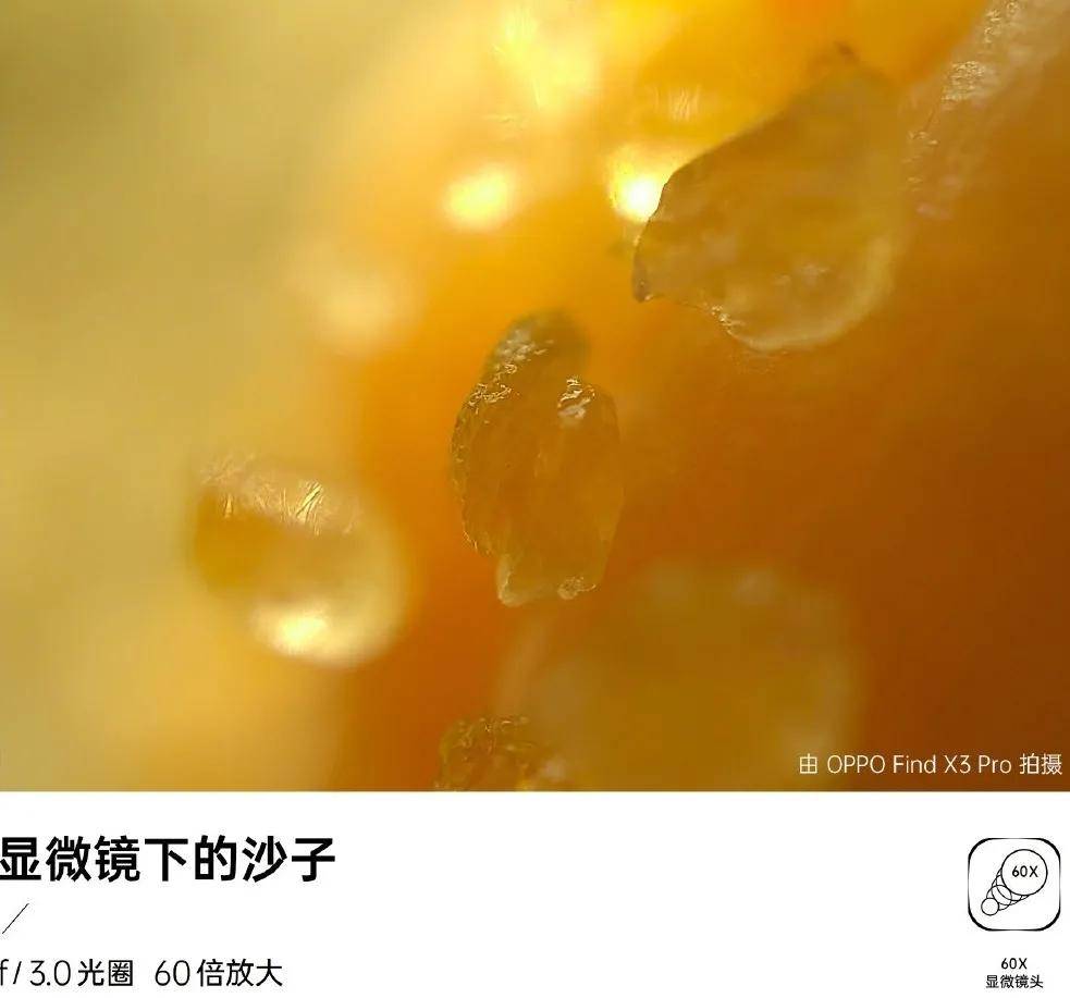 亮点|盘点几款新品手机的最大亮点，显微镜功能最值得肯定！