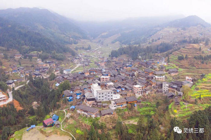 通过近两个小时的车程,记者来到都江镇小脑村绿壳鸡养殖基地,基地里