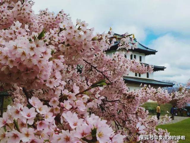 日本47个都道府县，一处一个最佳赏樱地点（后篇）