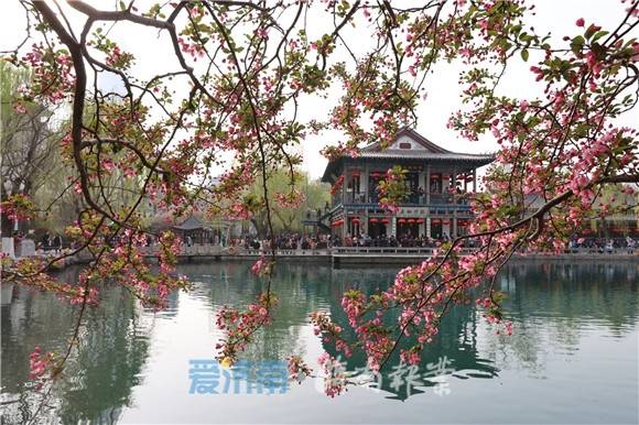 济南：走在春天里 畅享诗画泉城