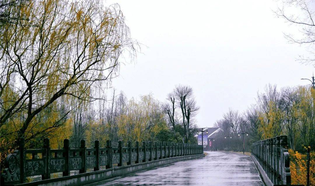 江苏徐州：春至潘安湖~烟雨朦胧风景如画