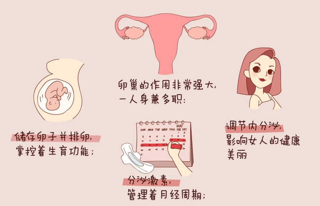 体内的这三把火正加速女性的衰老,元凶竟是……