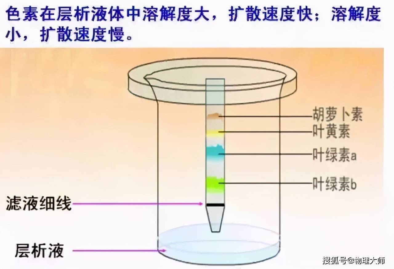 塑料瓶热水变形是什么原理_热水烫过的塑料瓶(3)