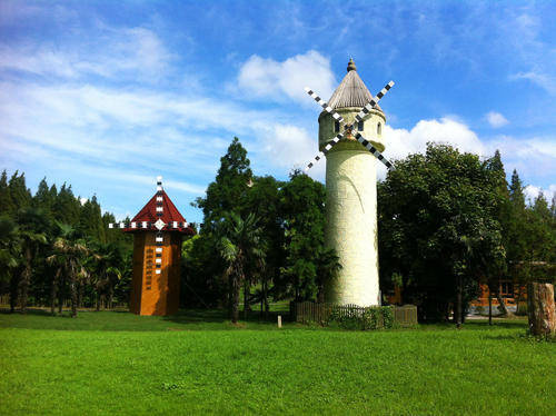 上海|东平国家森林公园