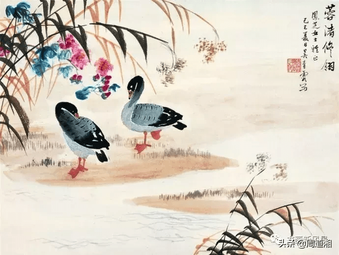 吴青霞画芦雁_搜狐网