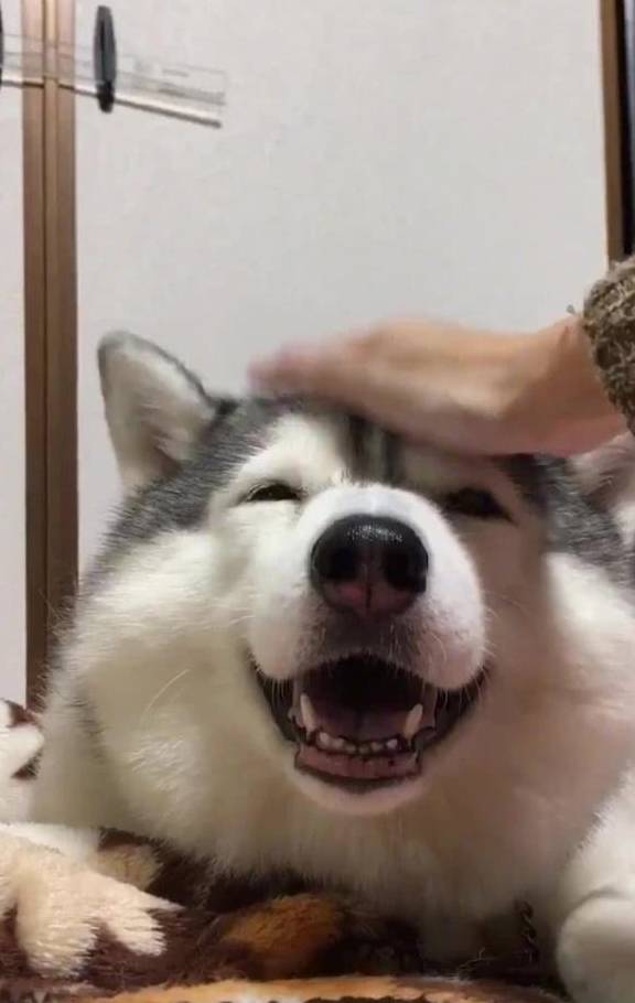 03ce4df6c74745c5b86098b2020019c7.jpeg