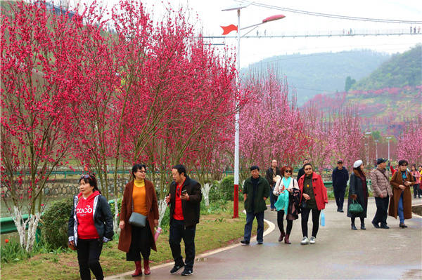 缤纷三月龙泉湖桃花节人气火爆