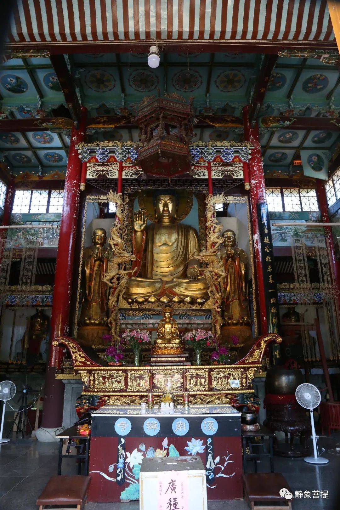 静象·福鼎溪南古寺 | 茶山掩映中的生机与美