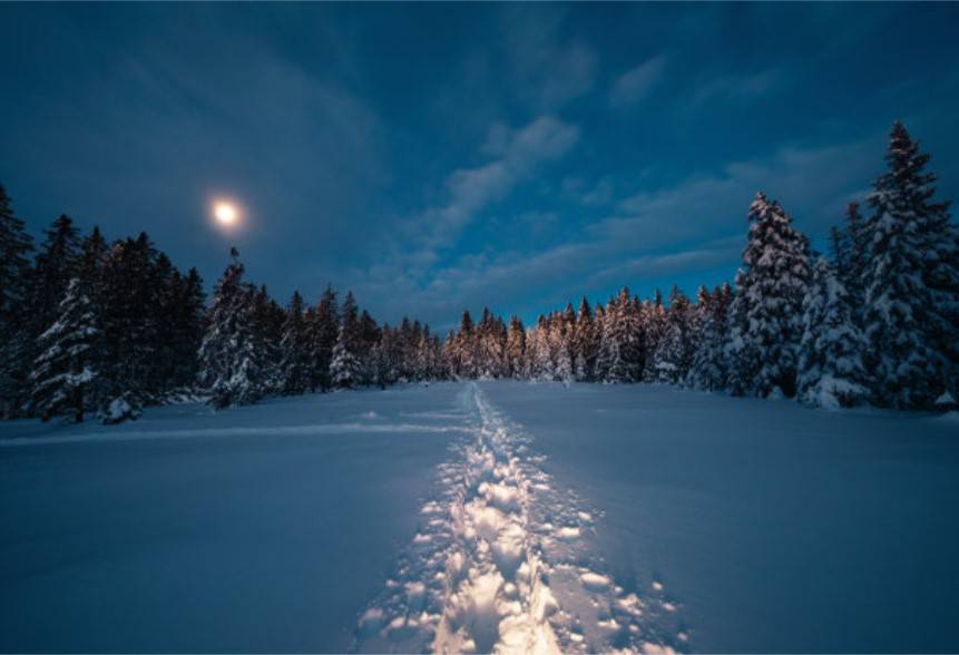 2021年3月18日财运大开运势步步提升无忧无虑的五生肖排行榜