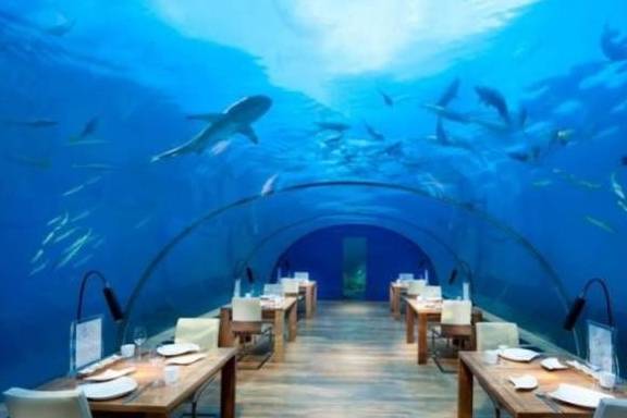 三亚最有趣的餐厅：不仅能看到热带鱼，甚至还能看到“美人鱼”