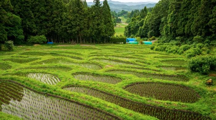 这些年来买家电防不胜防的新陷阱，为何总是无法杜绝?-家电圈官网