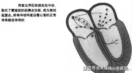 a4d6ab8bd64d4dfb87c5ced2fc4d089f.jpeg