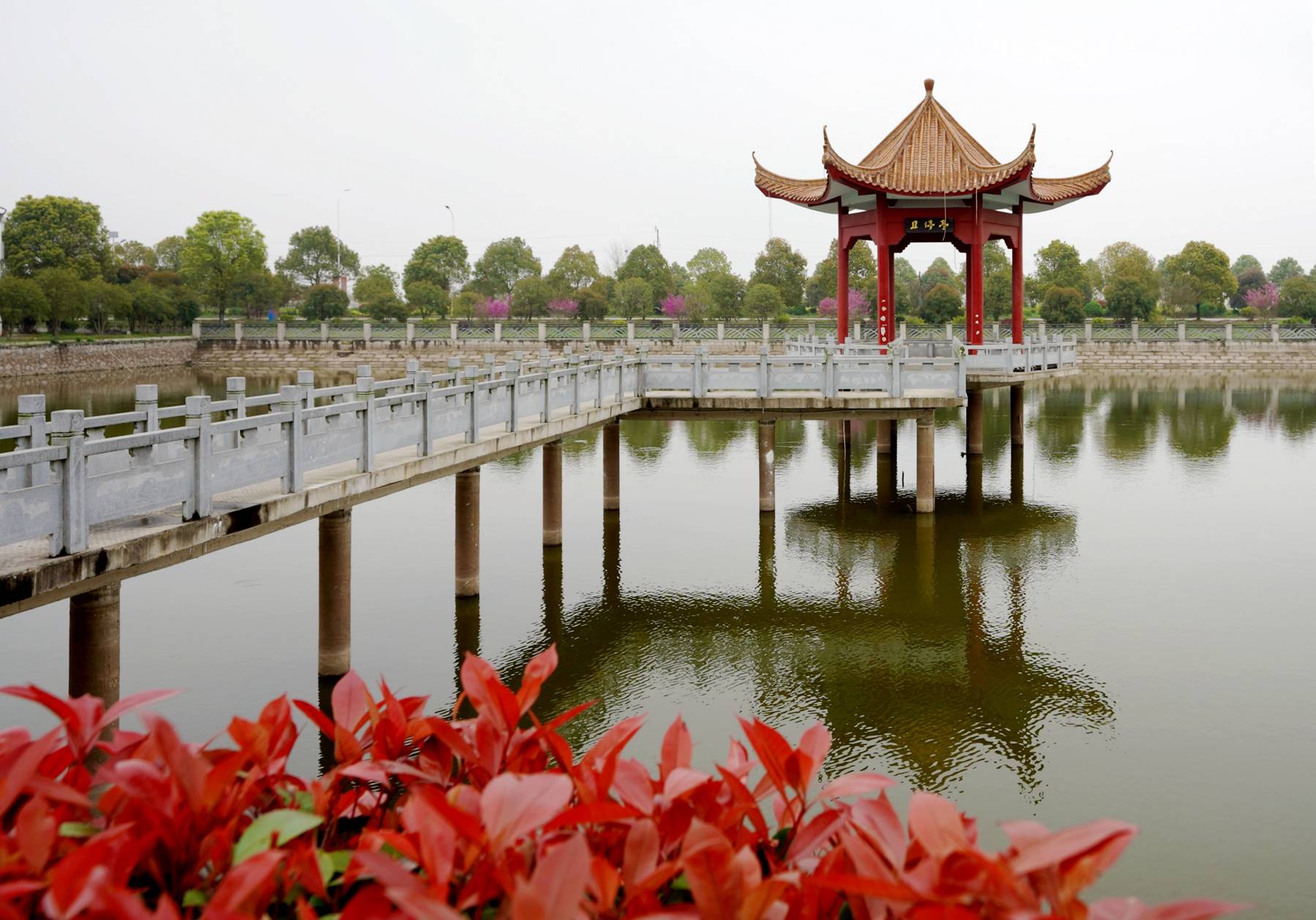 乡村坚持五个振兴:美丽乡村咸宁嘉鱼不仅有佳人,还有这里的包菜包你够