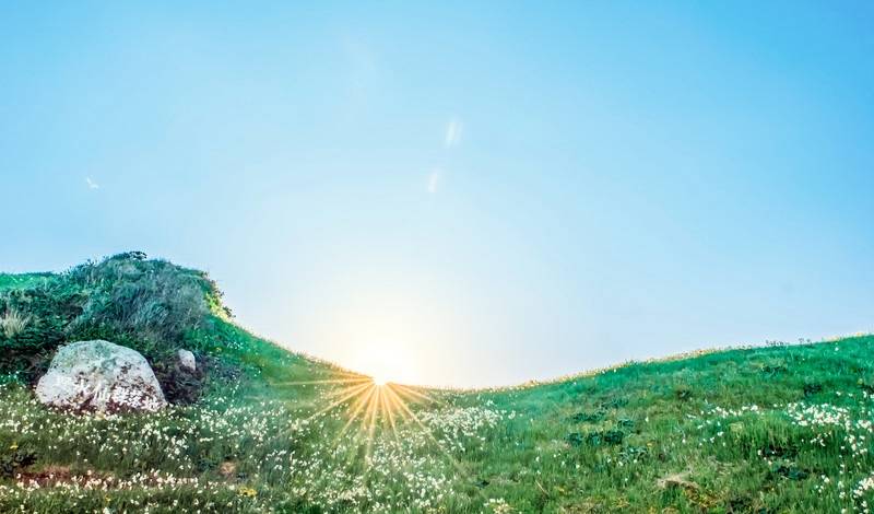 家电业今年要警惕两大现象蔓延：市场乱搞、竞争乱想-家电圈官网