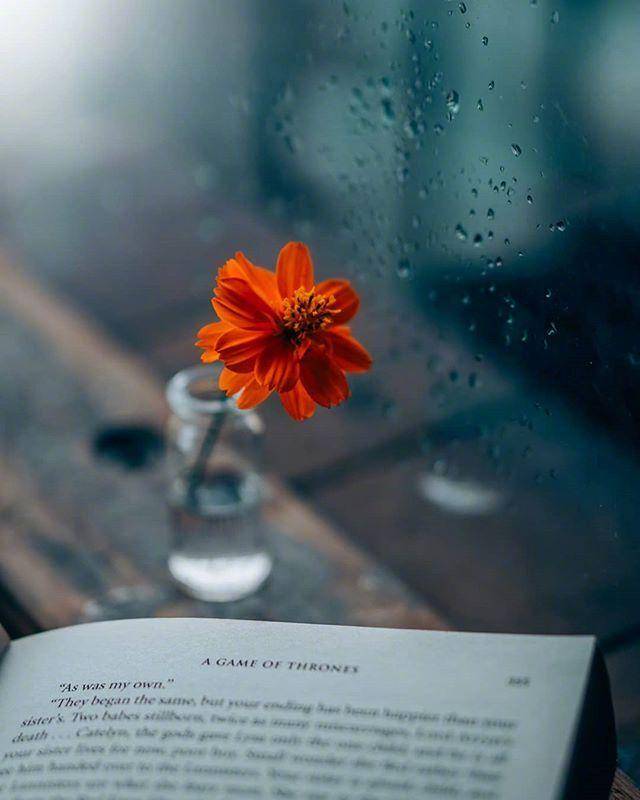 什么心致什么成语_观致汽车属于什么品牌(2)