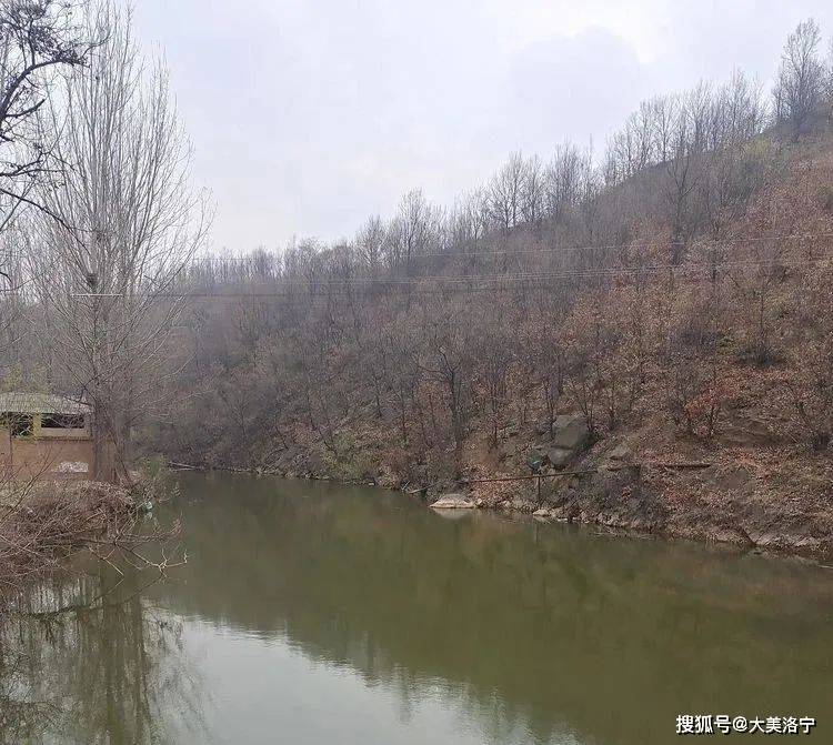 洛宁程志民——桃缘上观(图25)