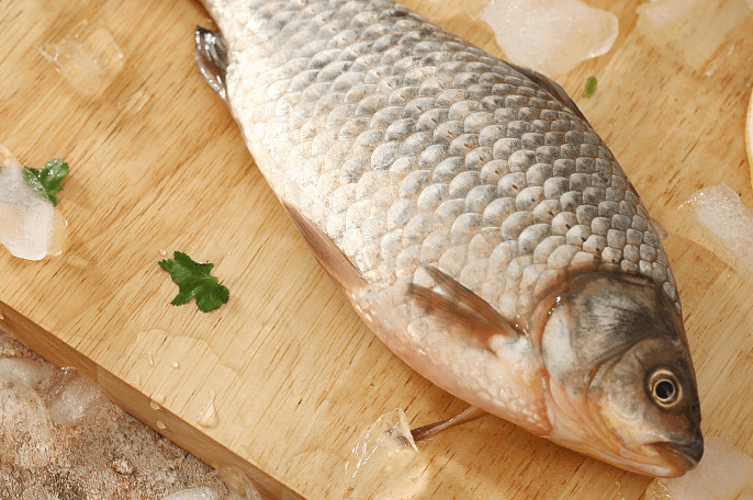 多个国际顶级权威期刊发布:吃鱼对健康的好处超出想象!_鱼肉