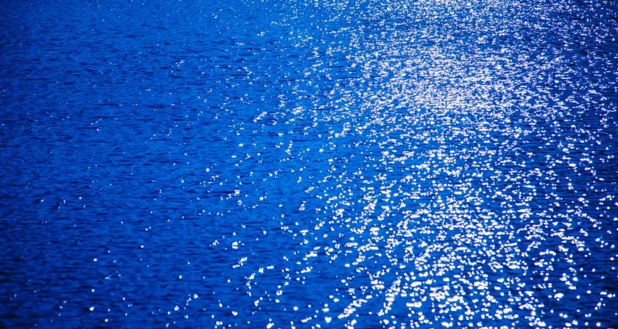 今年家电业将上演全产业链去低价战-家电圈官网