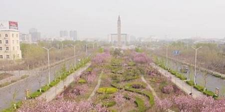中国“最低调”的樱花城市，拥有4000米樱花大道，游客却不是很多