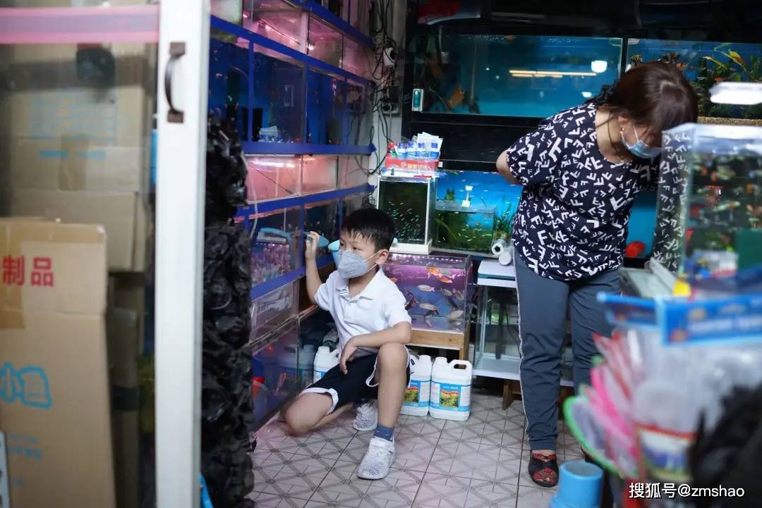 上海花鳥市場往事