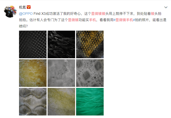 oppo开启显微镜手机大赛看看网友都拍出了什么稀奇古怪