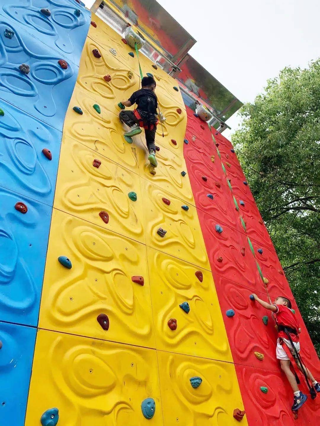 2021乌镇国际夏令营|自信,勇敢,坚强,帅气,|让我们一起探索世界!_马术