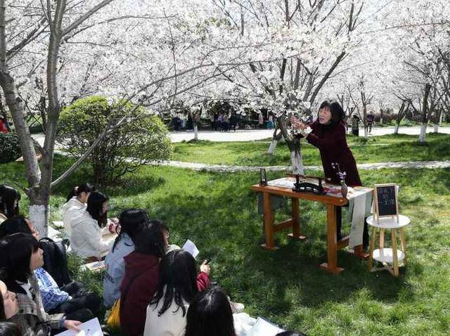 中国药科大学怎么样？樱花“教室”，美到“犯规”！