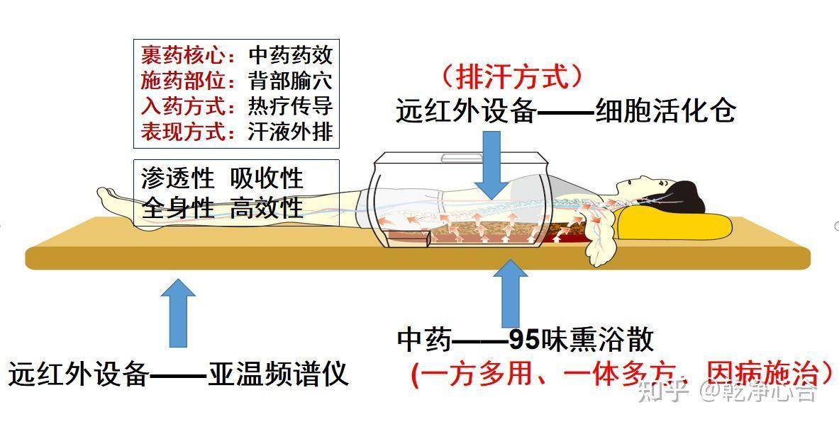 会炙人口的意思_脍炙人口的炙是什么意思