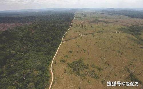 为什么会说亚马逊雨林是人类禁区？到底多恐怖？去过的人都吓死了