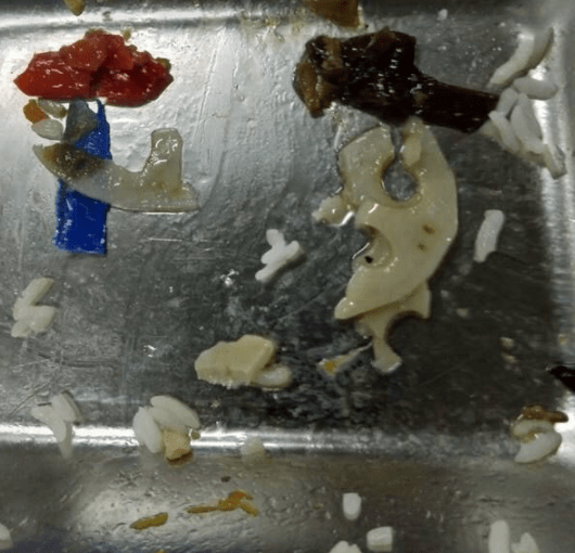 原创
酸成宋小宝了!