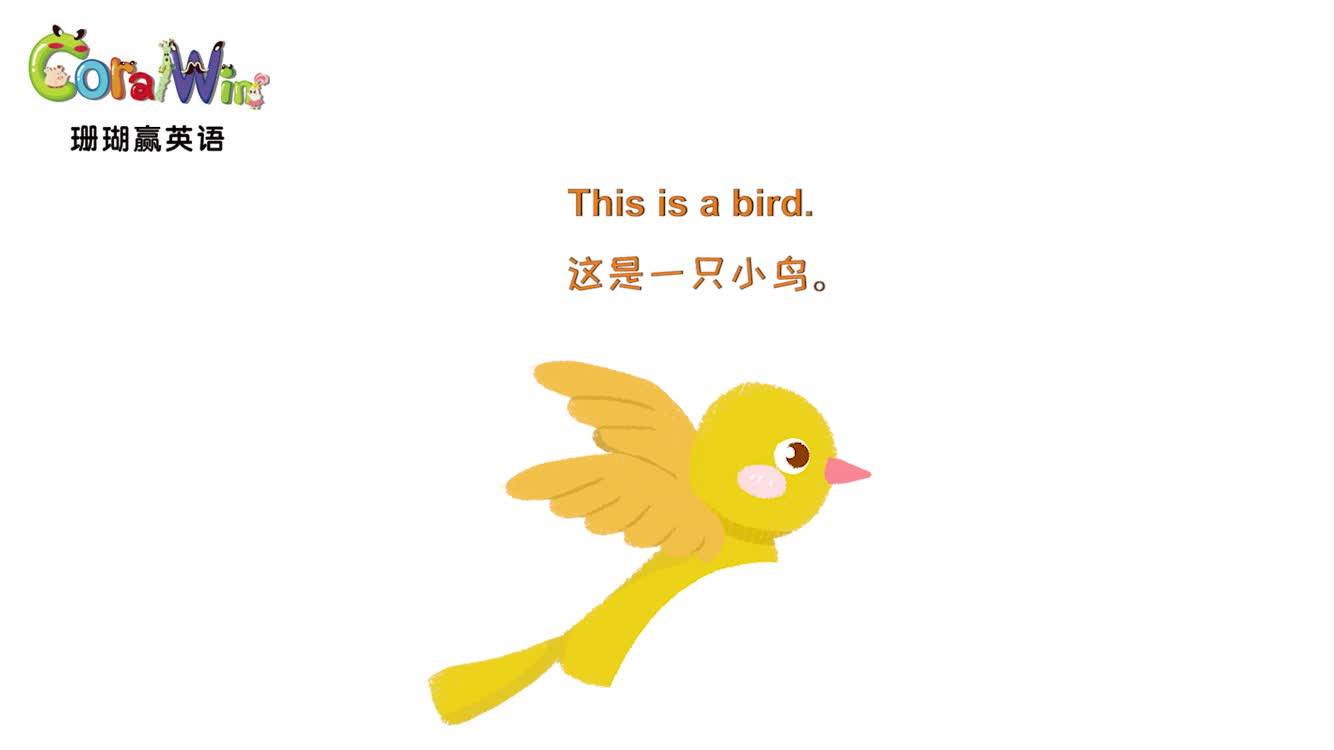巧记剑桥英语ket单词bird