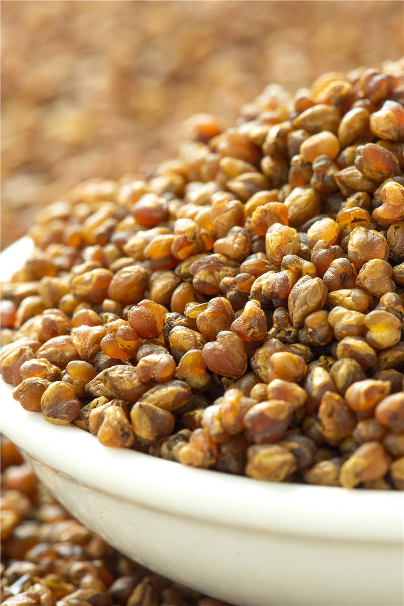 香村铺子苦荞茶分享黑苦荞茶的正确喝法你不要错过了