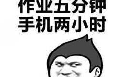 1b03359450d64198ad51b7378f3fcaa7.jpeg
