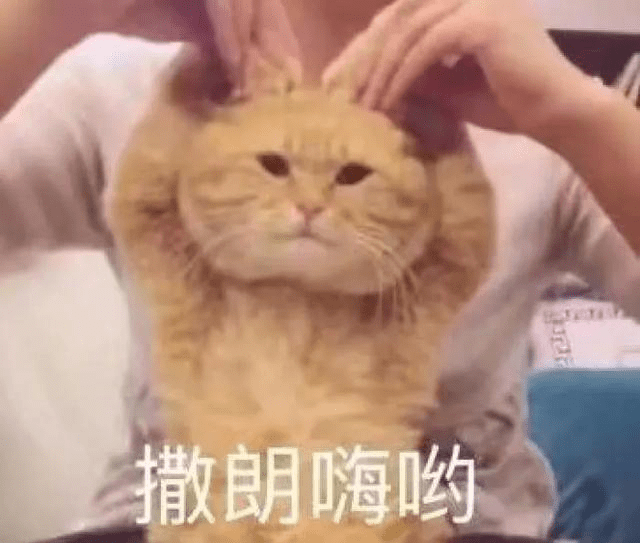 208bc8cefc974629a95c07013173aa52.png