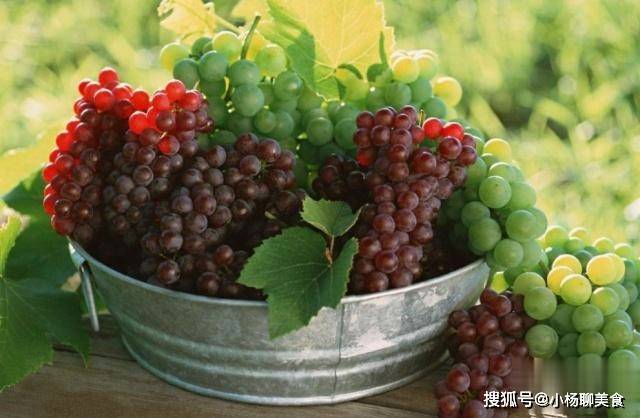 阳光玫瑰葡萄价格为什么一落千丈 60c7dd3a4cf04f978c779f5648309ff0.jpeg