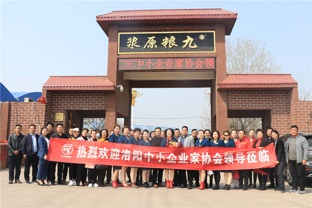 栽得梧桐树引来金凤凰洛阳中小企业家协会到洛阳古洛酒铺走访调研
