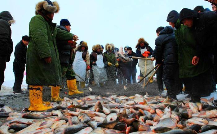 查干湖冬捕长达40天，胖头鱼堆积成山，游客在现场参观买鱼