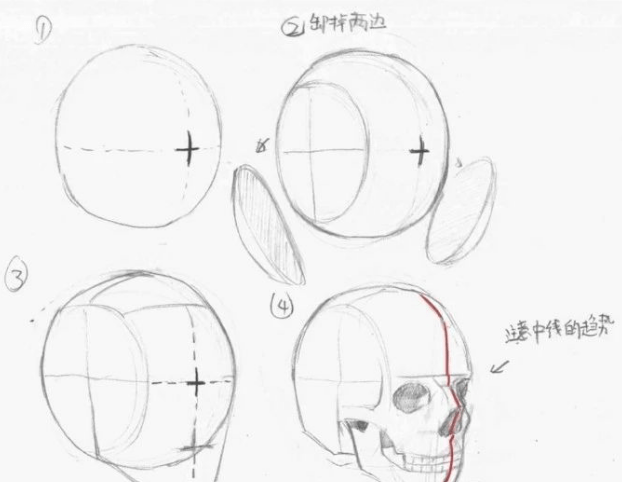 怎麼學習畫動漫人物_頭部