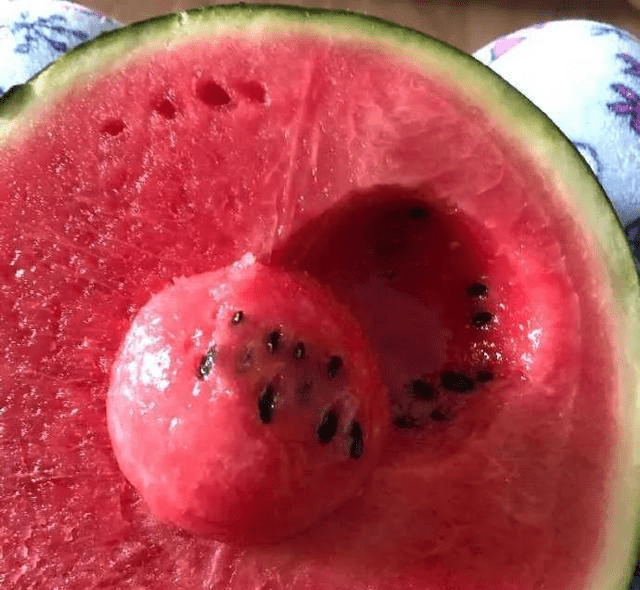 西瓜是什么时候结的 c45d8d4bc1f2485db46eae0e6f682df7.png