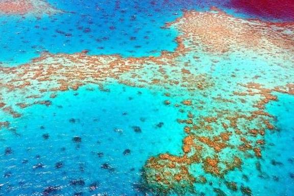 世界上最大最美的珊瑚礁，即将“死亡”，原因与人类脱不开干系