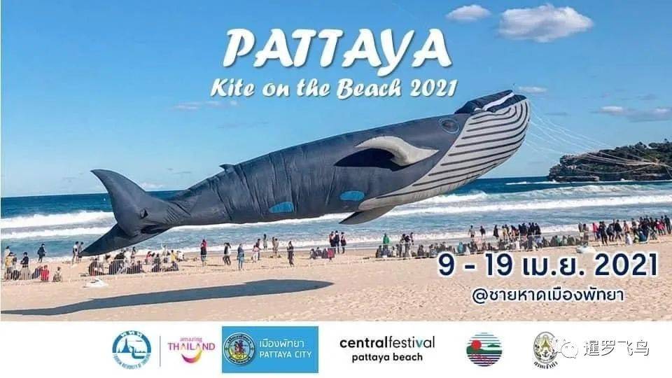 芭堤雅举办海滩风筝节，海边将会浮现二次元迷幻天空