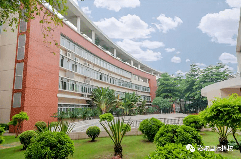 广东择校深圳南山中加学校