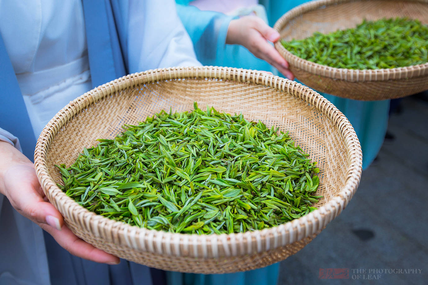 徑山茶以外形細嫩有毫,色澤翠綠,香氣清馥,滋味醇鮮,被視為綠茶中的