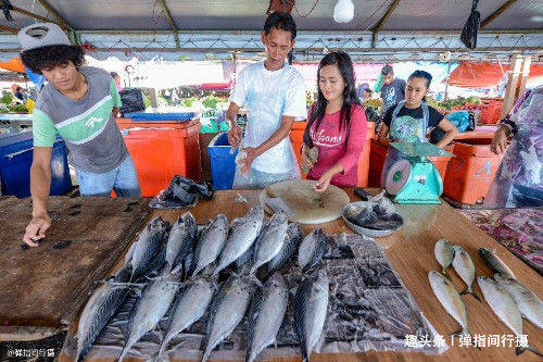 马来西亚沙巴海产丰富，当地鱼市海鲜物美价廉，让游客垂涎不已