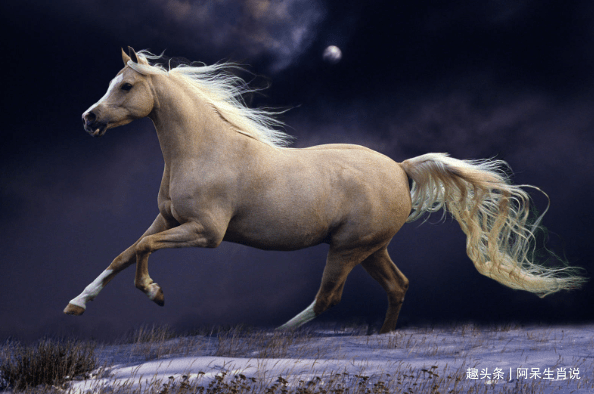 3d026028a66b4d6ca7e04a7891cb3c9a.png