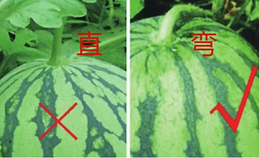 7b357c7ca3194bc7913264f1a2f4418b.png