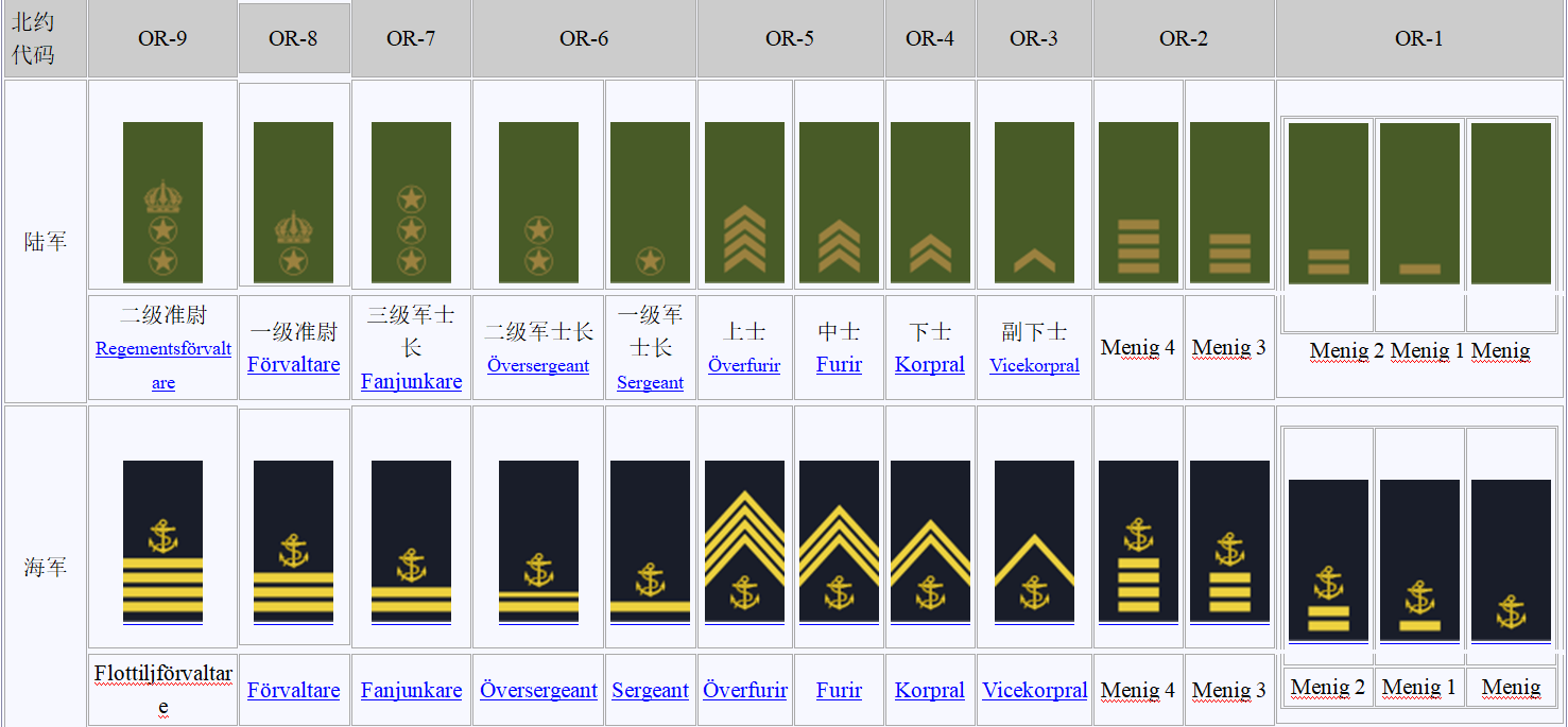 原创瑞典王国人口1千万总兵力65万士兵军衔种类比军官还丰富
